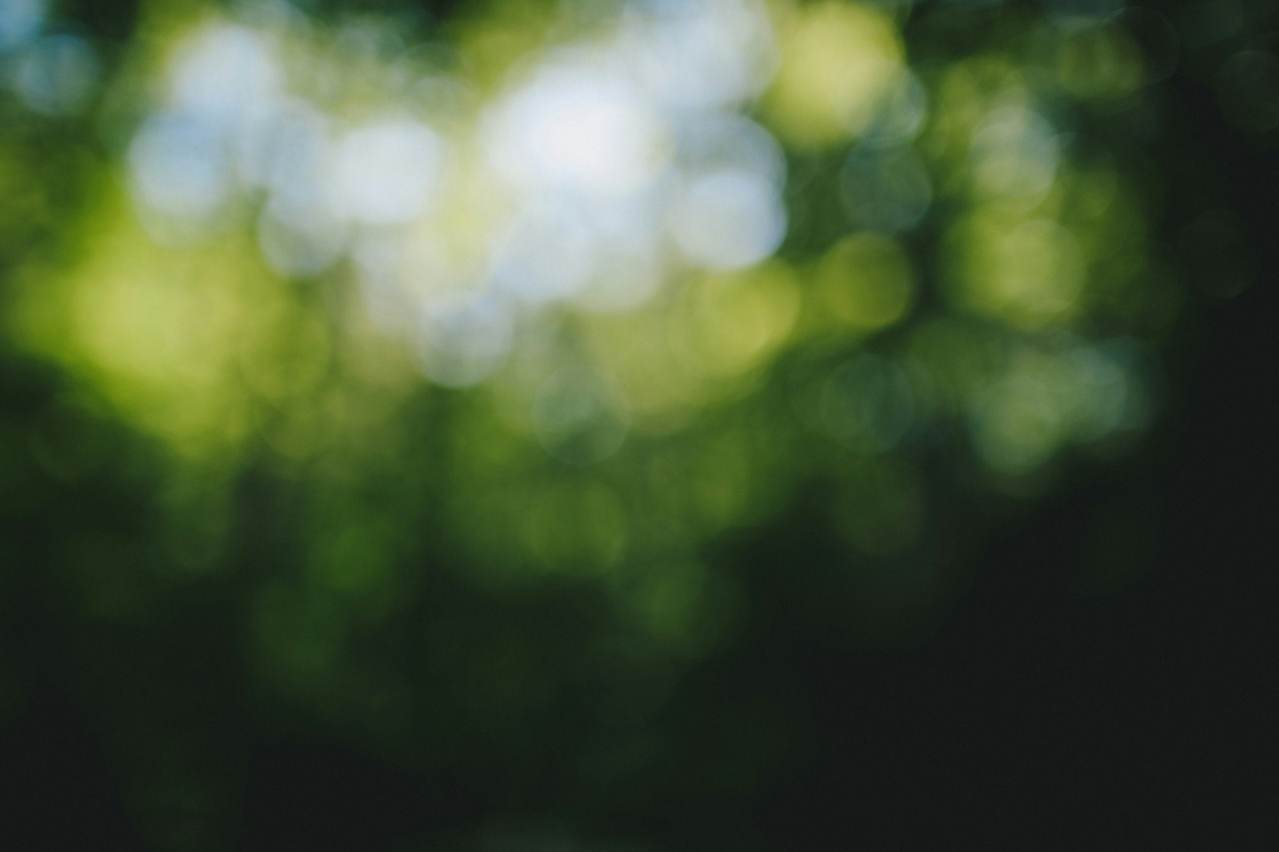 wes-hicks-4PWqHpxhvQM-unsplash